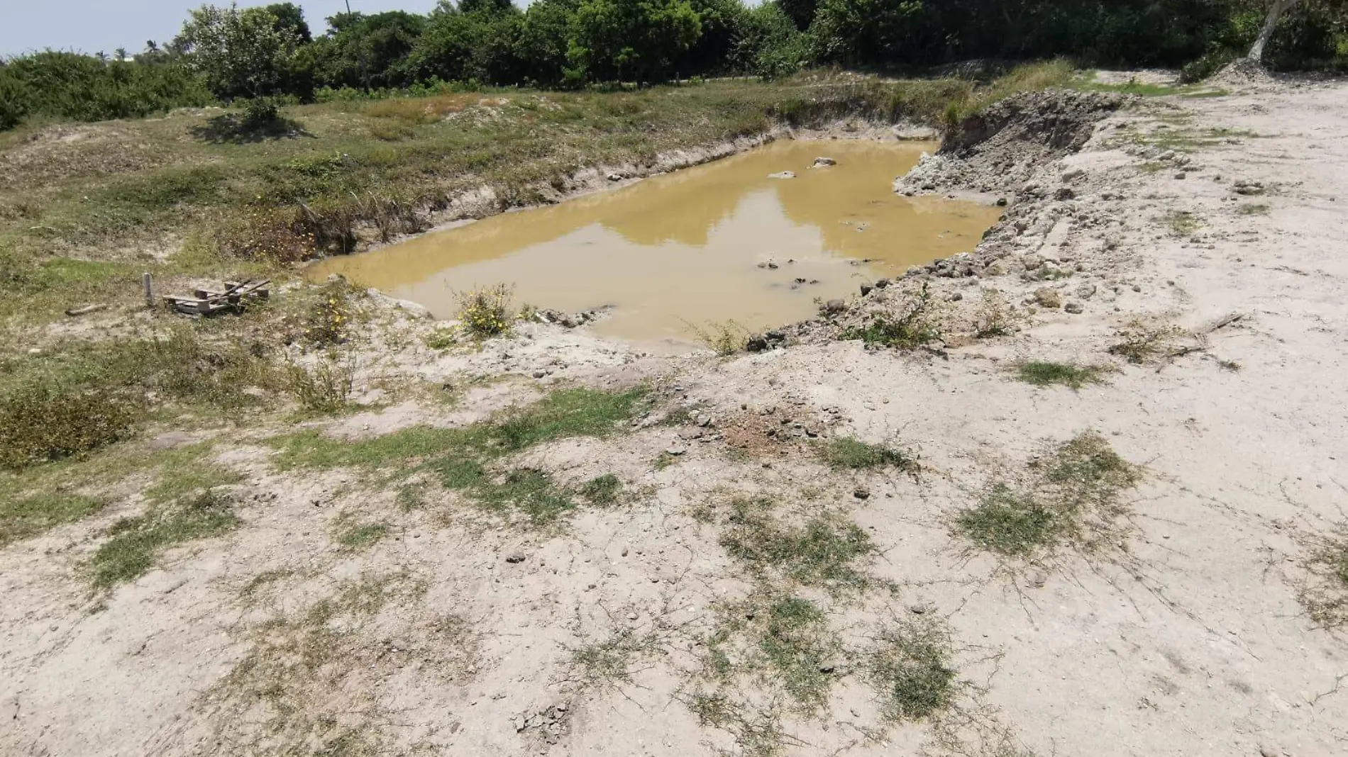 Sequía y contaminación afectan la vitalidad del río Pánuco: zonas rurales en riesgo